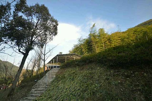 中国大竹海景区