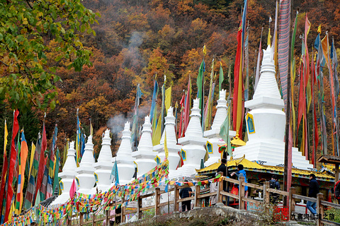 树正沟旅游景点攻略图