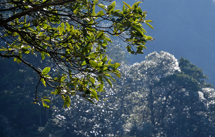 杜鹃山据说最好的游览季节是春天,4,5月份,漫山遍野的杜鹃花,很美