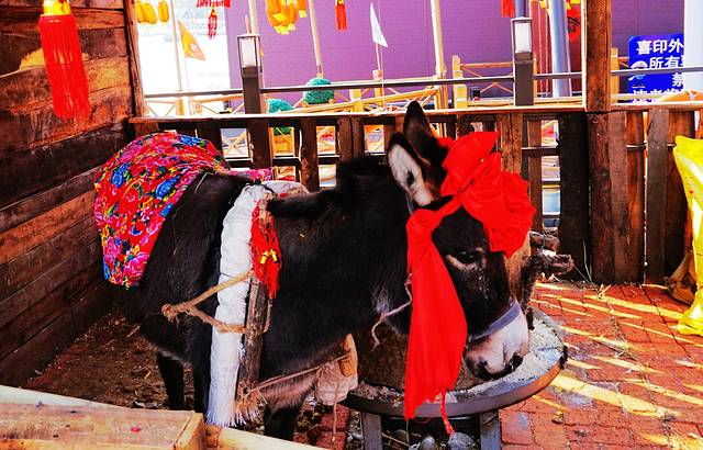 喜印外滩happy雪岛