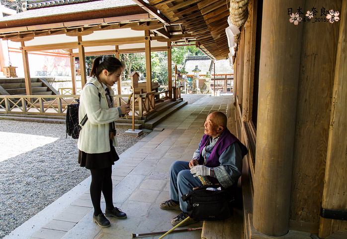 从春日大社出来,我们闲逛着去夫妇大国社,在经过若宫神社的时候,遇到