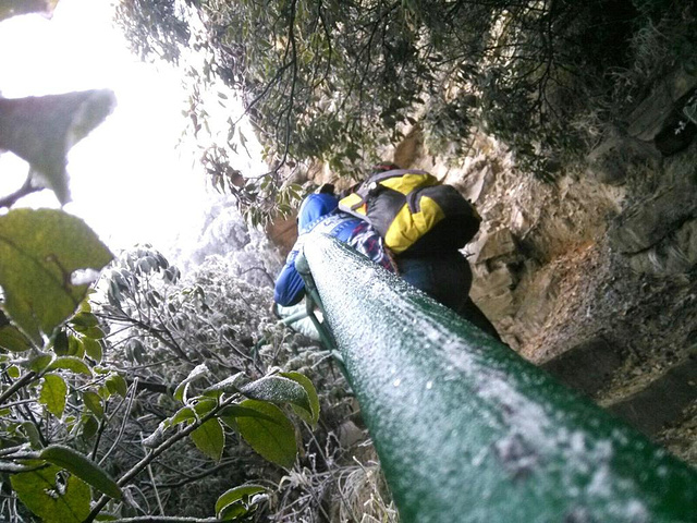 "下山的路线一步登天→空中走廊→月亮垭→金鞭溪→公园大门→市区酒店。雪松好美，雪景好美_一步登天"的评论图片