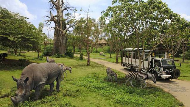 巴厘岛野生动物园