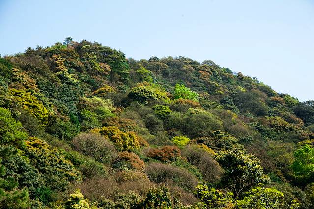 广东梧桐山国家森林公园