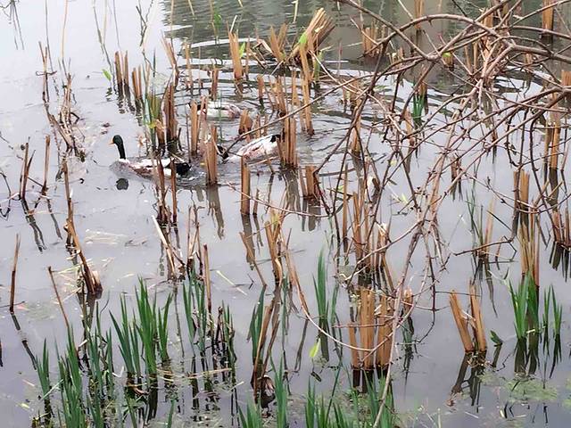 牛头山国家森林公园