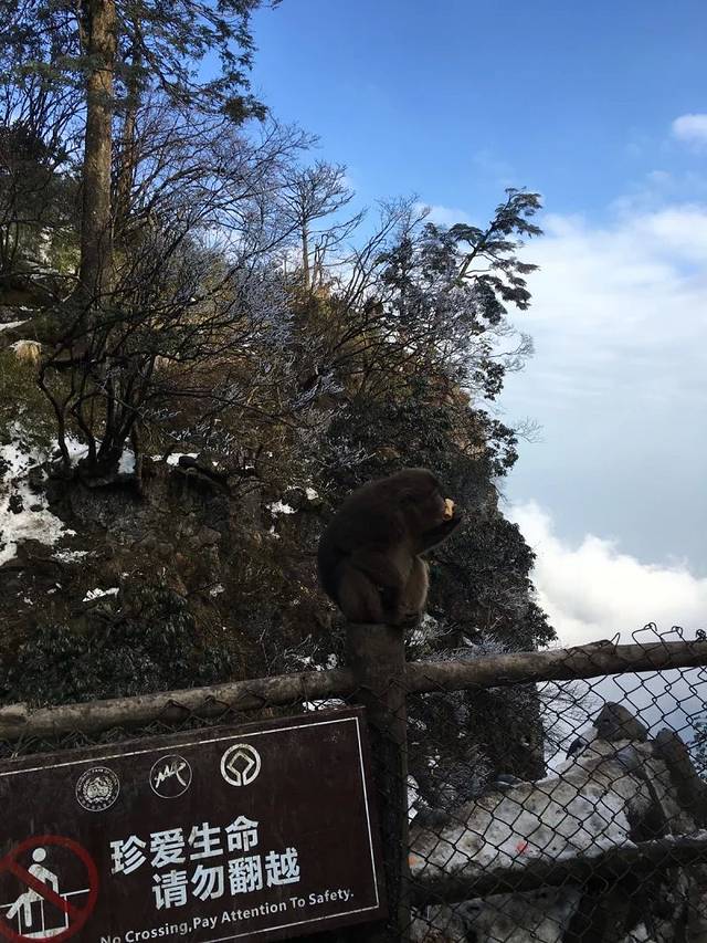 佛有法度,渡有缘之人,峨眉游。