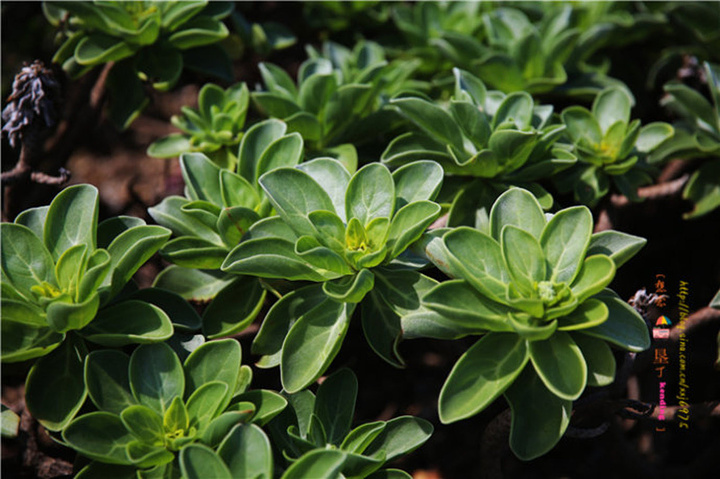 2017.感受生态平衡的景象,为了知道爱护环境的