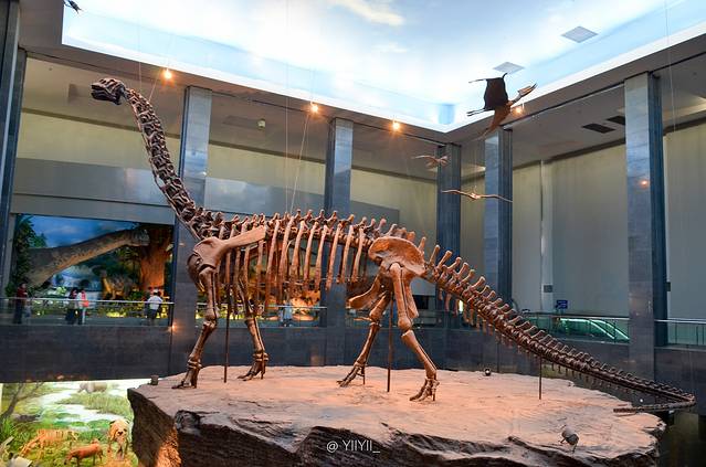 呼和浩特博物馆