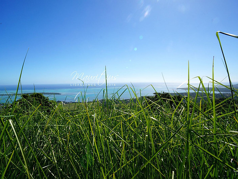 夏马尔半山餐厅