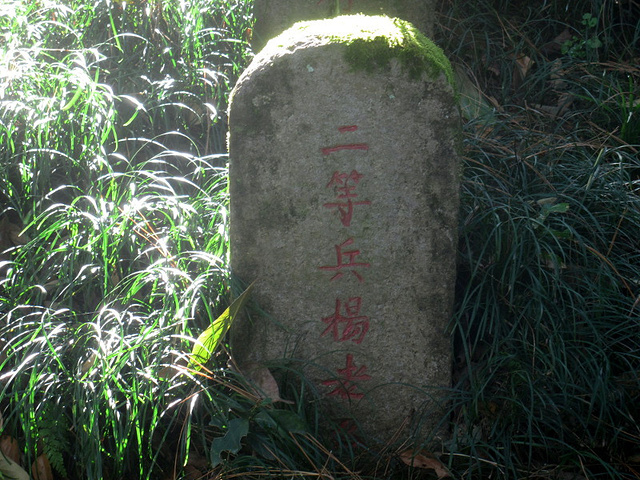 来之前看了凤凰卫视的《七十年的远征》,很震