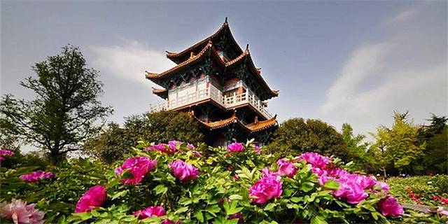 隋唐城遗址植物园