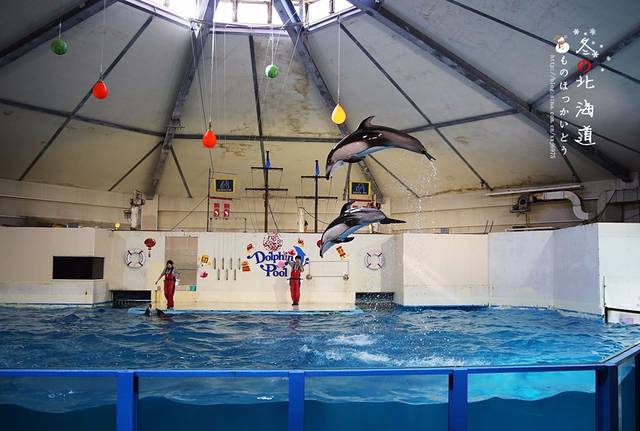 登别海洋公园尼克斯