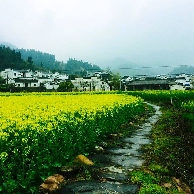 魂牵梦绕的故里--皖南山乡