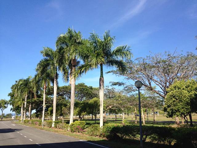 斗湖山国家公园