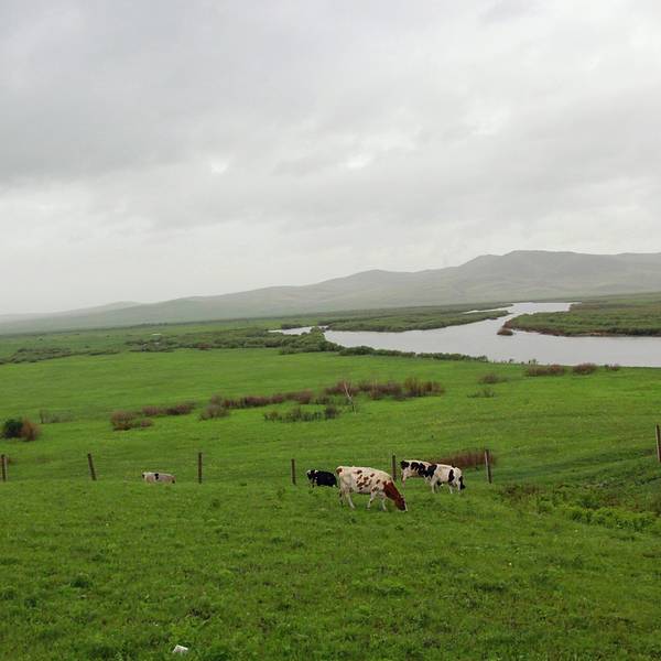 黑山头 旅游攻略