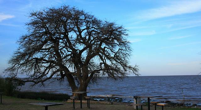 Reserva Ecologica Costanera Sur