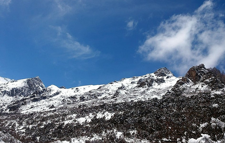 "经过昨天海拔较高的梦笔山，我觉得我爬玛嘉沟这座雪山完全不用担心高反了。木栈道上的羊群_玛嘉沟"的评论图片