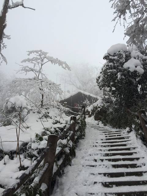隆冬峨眉山之旅,看银装素裹