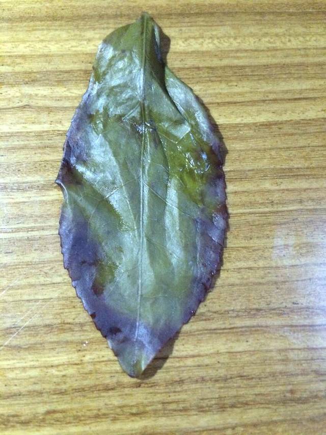 醉美武夷,品味佳茗!