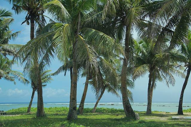 太平洋战争国立历史公园