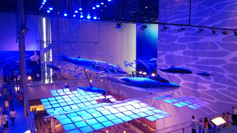 2018广东省博物馆游玩攻略,【馆藏必看】(1)推