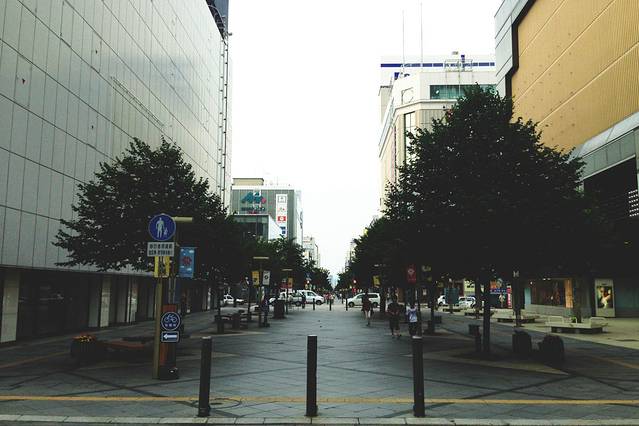 Kakiyasu Aeon Nagoya Dome