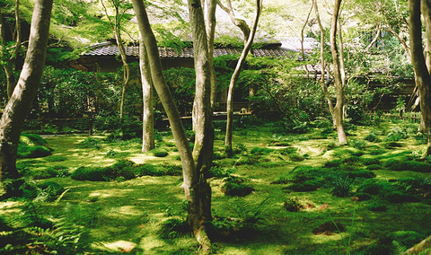 岚山旅游景点攻略图