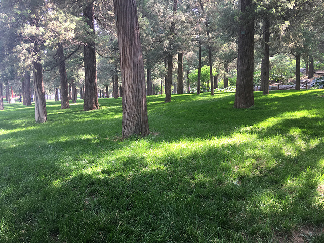那天从故宫出来忘了来景山公园拍一张故宫全景