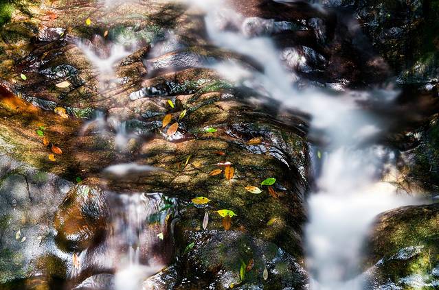 千岛湖森林氧吧