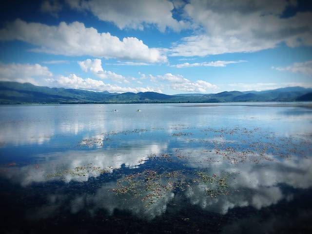 第一次看到拉市海,有种看到天空之镜的感觉,很美
