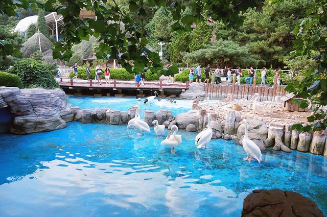 鸟语林旅游攻略