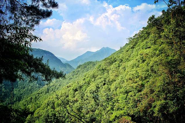 千岛湖森林氧吧