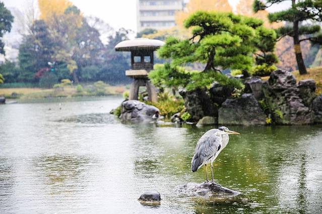 清澄庭园