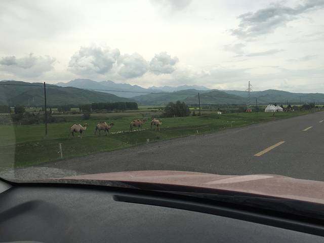 90公里多大 9ef5d6849eb55cf7.jpg_r_640x480x70_4e68b4c3.jpg