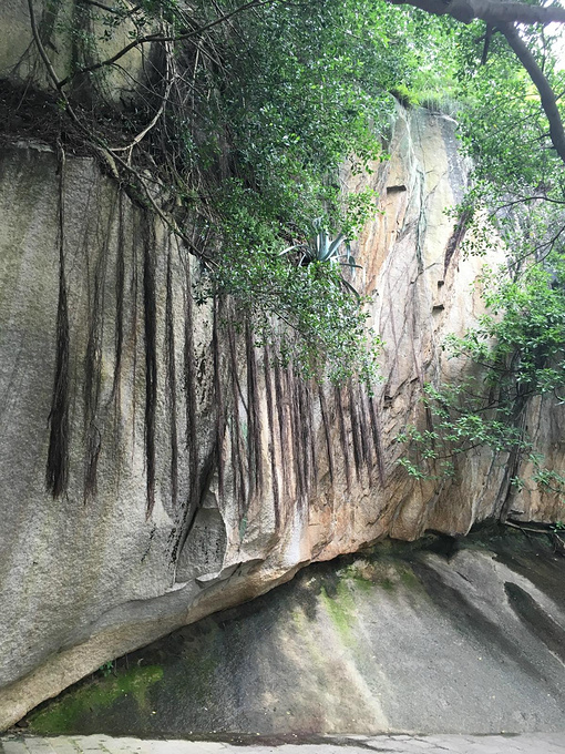 六月,梅雨的厦门_厦门旅游攻略