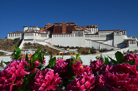 布达拉宫旅游景点攻略图