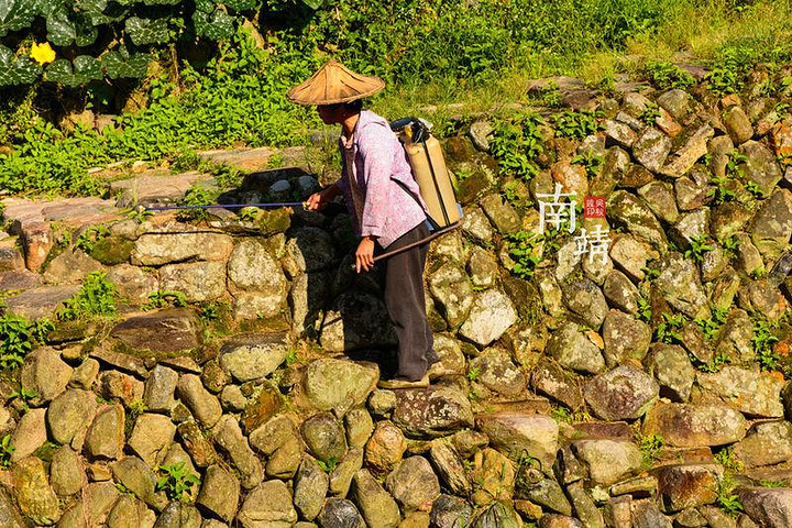 全村最勤劳的人图片,勤劳图片配图文字,全村最勤劳的文字图片_大山谷图库