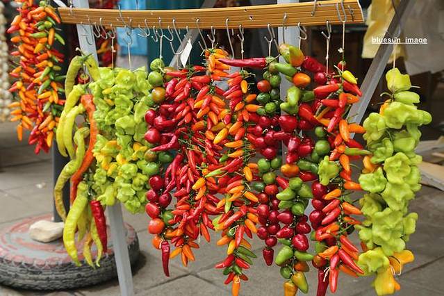 一首海洋和老城碰撞的狂想曲——克罗地亚