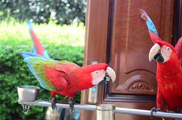 陕西自然博物馆