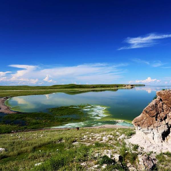 达赉湖旅游攻略