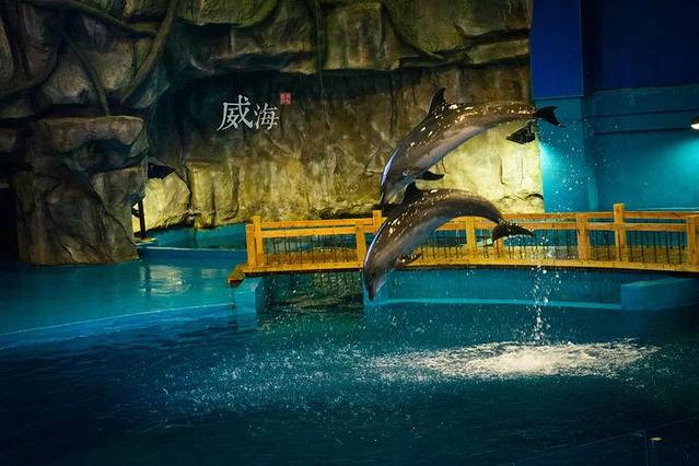 威海神游海洋世界
