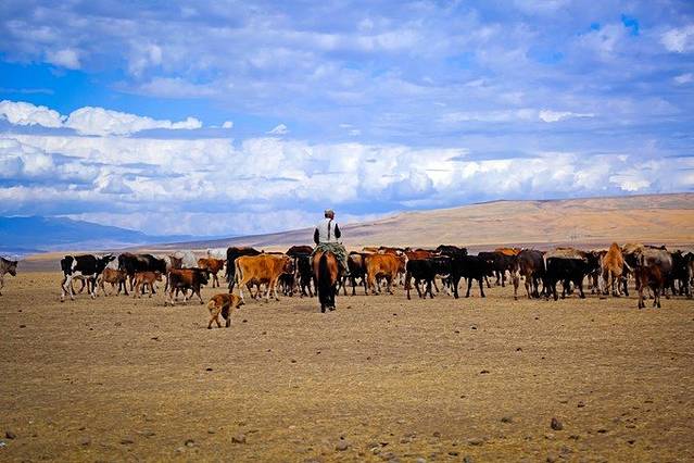 格鲁吉亚军事公路