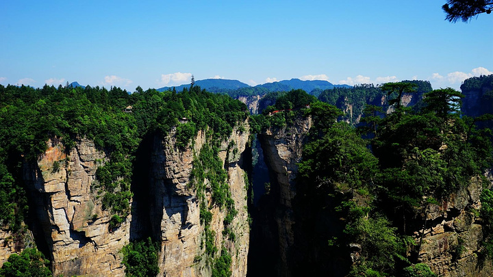 "前往袁家界，先来探访一下旅行团很少光顾的绝密景点望桥台，与众不同的从特殊的角度欣赏天下第一桥绝景_望桥台"的评论图片