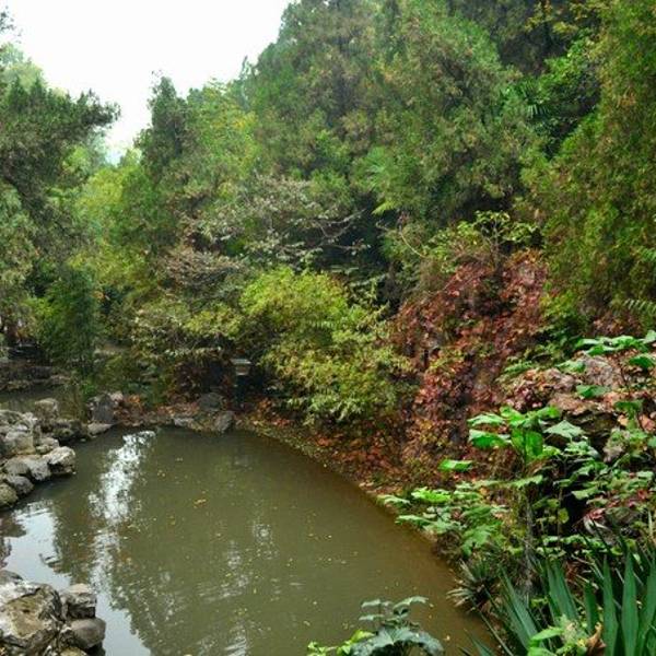 白园内主要景点有青谷