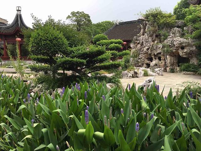 大碗菜馆(泉山路店)