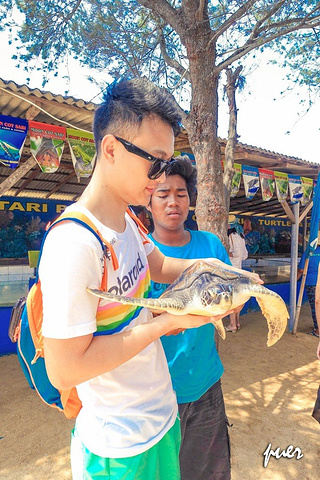 "随后我们乘快艇前往南湾对岸的【海龟岛】，中途船长还让我们自己掌握方向盘，拍了几张照片留念。比较有意思_海龟岛"的评论图片