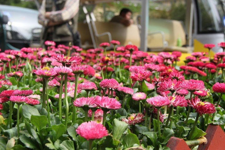 2018回成都是从青城山坐高铁回去的,时间还早