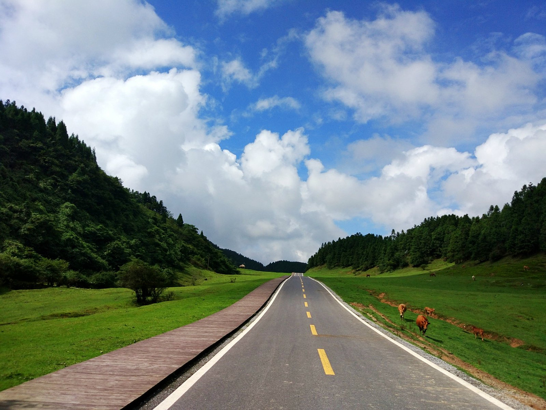 大美高山草原---仙女山