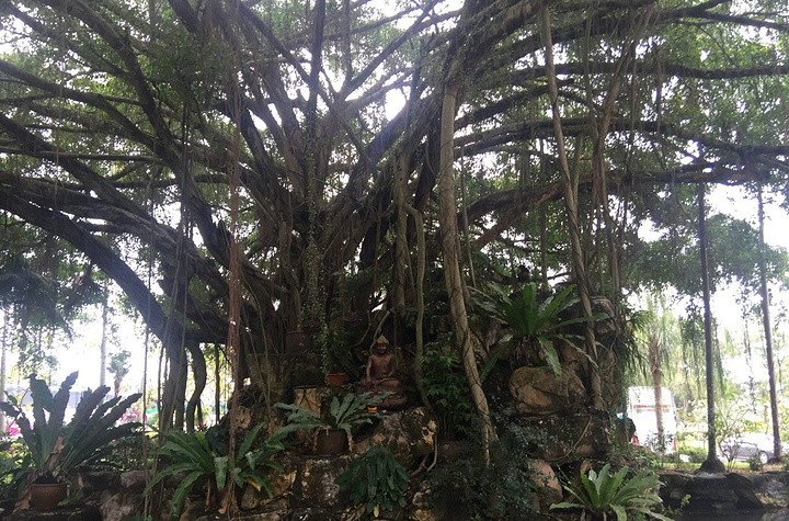 2017.欢乐的跳着泰国舞蹈,而且还有泰拳表演,这