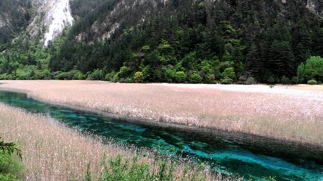 仿佛做了一个五彩斑斓的梦--九寨沟